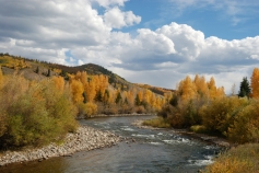 Stream Type C -- Blue River, Colorado